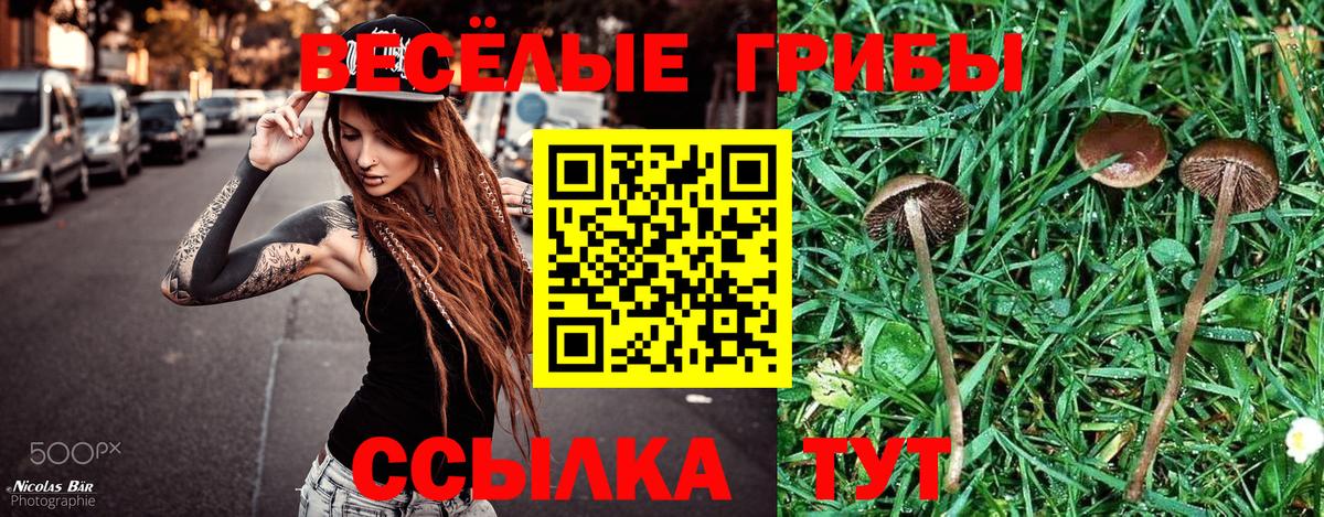 Псилоцибиновые грибы ЛСД  Вход с VPN  Мурино 