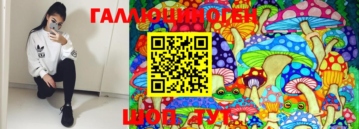 Псилоцибиновые грибы GOLDEN TEACHER Мурино